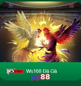 pp88